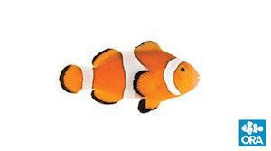 ORA Mini Ocellaris Clownfish