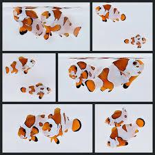 Orange Storm Clownfish PAIR